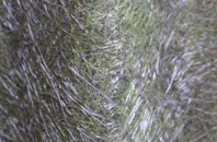 Ballymaconnelly fibreglass roof work